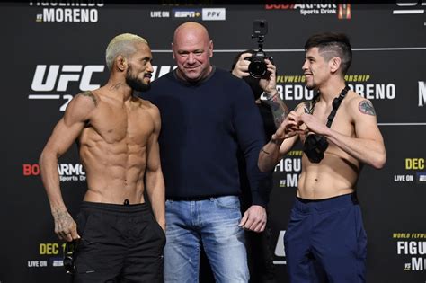 ufc 256 resultados|UFC 256 .